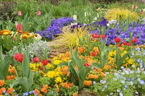 Garden Renovation in Powhatan