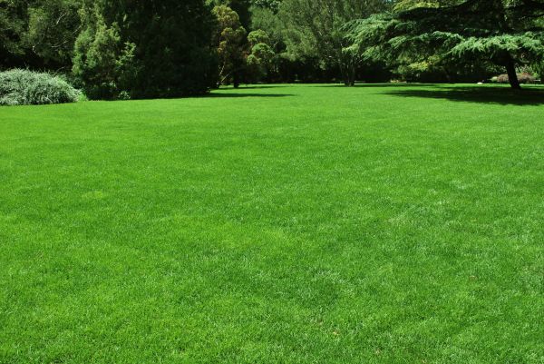 Lawn Landscaping in Powhatan