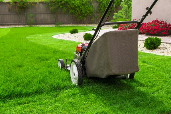 Lawn And Garden Care
