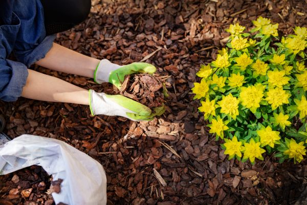 Garden Mulching in Powhatan