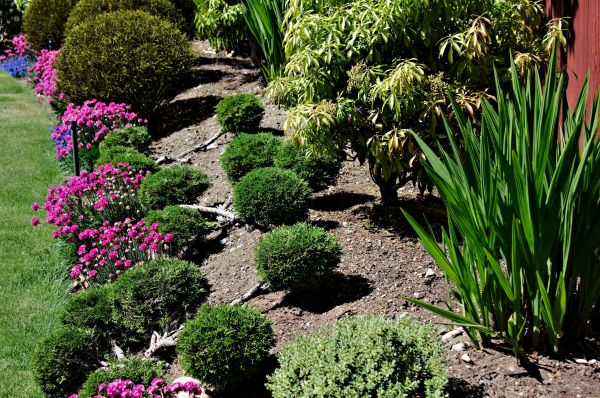 Residential Gardening in Powhatan