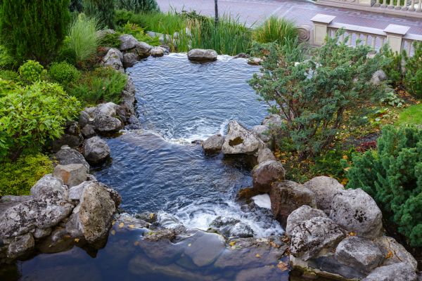 Water Garden Landscaping