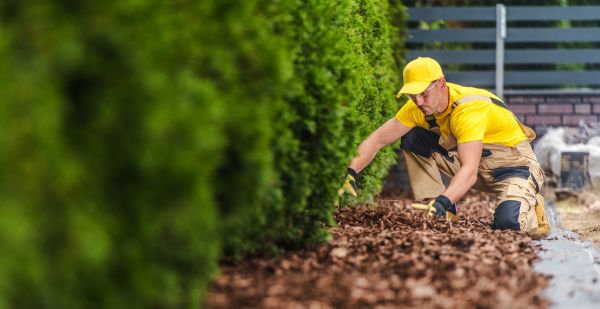Cypress Mulch Installation in Powhatan