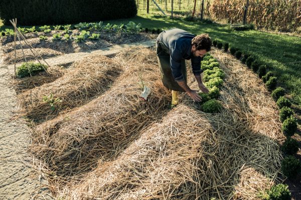 Straw Mulching Service in Powhatan