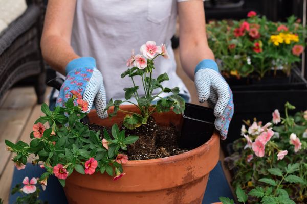 Plant Care Service in Powhatan