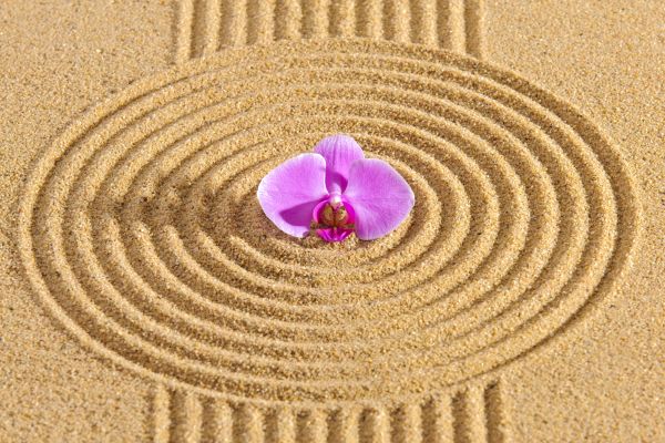 Sand Garden Landscaping in Powhatan