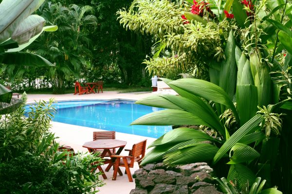 Pool Area Landscaping in Powhatan