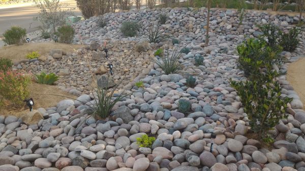 Yard Xeriscaping in Powhatan