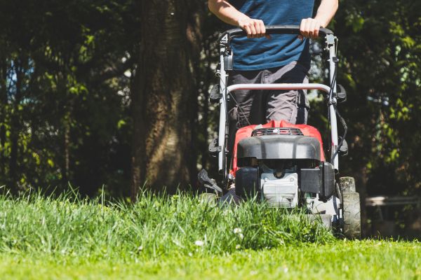 Garden Trimming Service in Powhatan