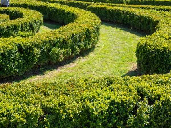 Bush Landscaping in Powhatan