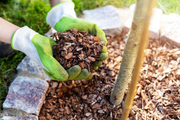 Tree Bark Delivery in Powhatan