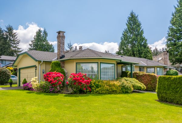 Landscaping Renovation