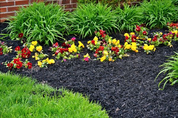 Apartment Mulching in Powhatan