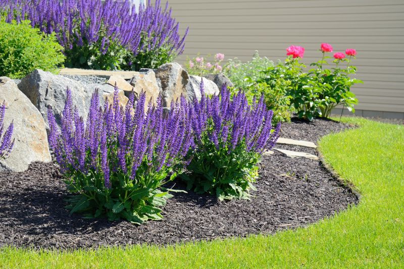 Plant Bed Mulching